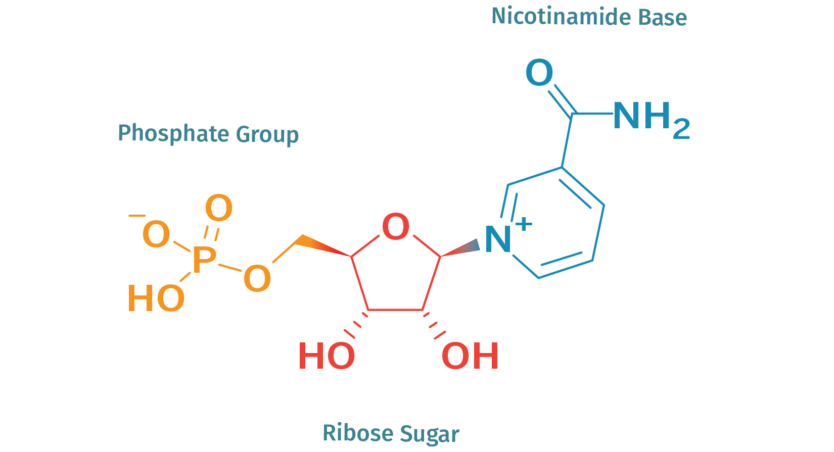 Chemical structure of β-Nicotinamide mononucleotide Chemical structure of β-Nicotinamide mononucleotide