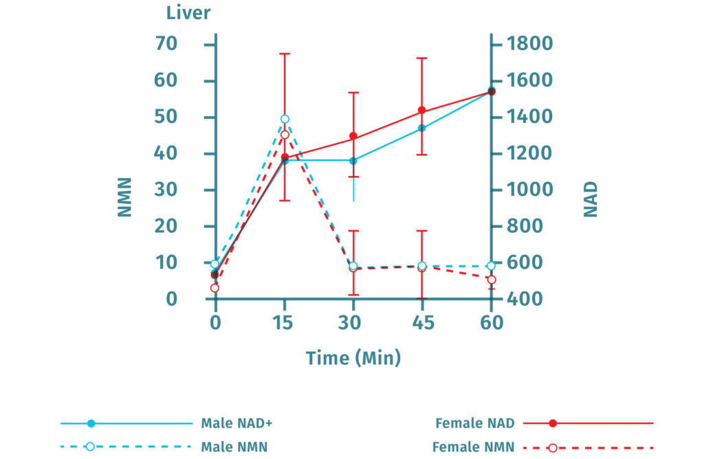 NMN is converted to NAD+ that was tested in the liver
