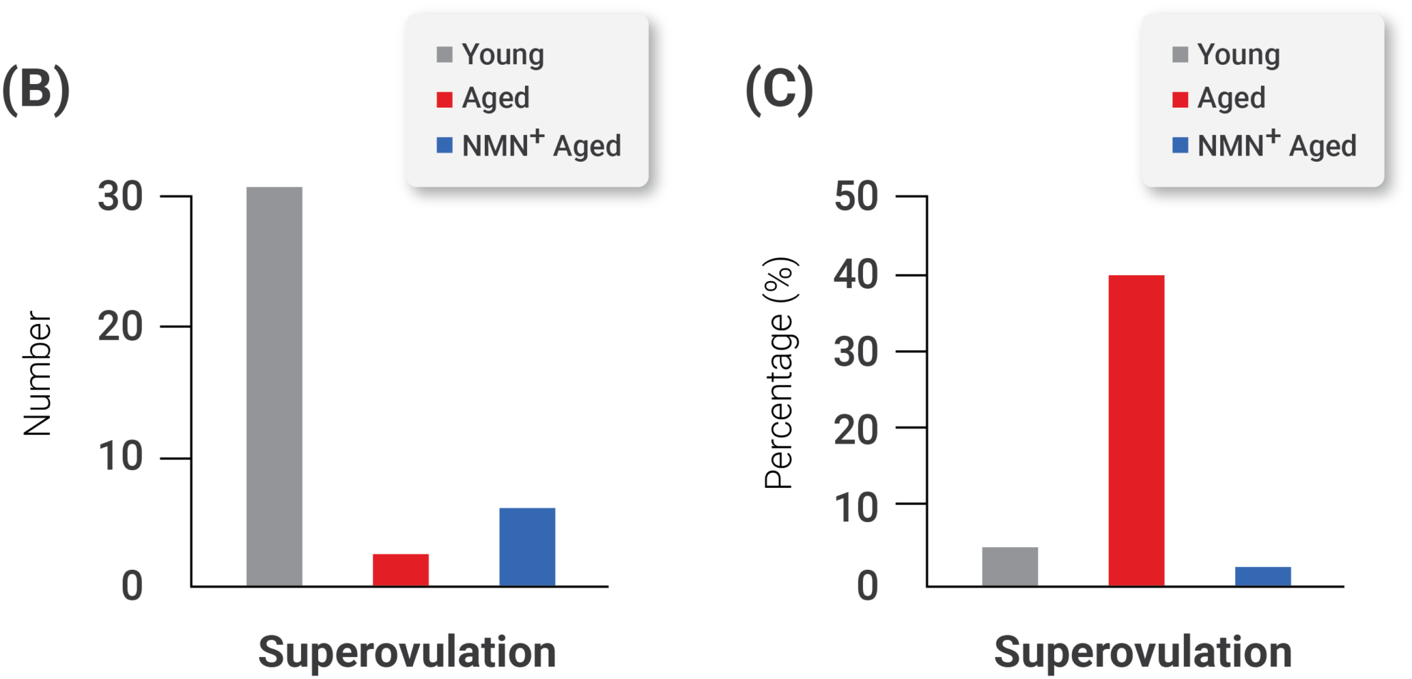 How NMN Affects Egg Cells and Fertility