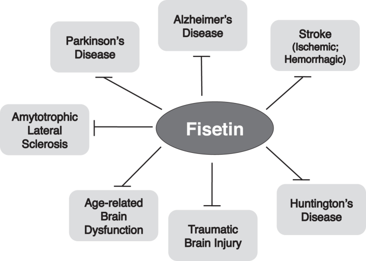 Fisetin is a senotherapeutic that extends health and lifespan - eBioMedicine
