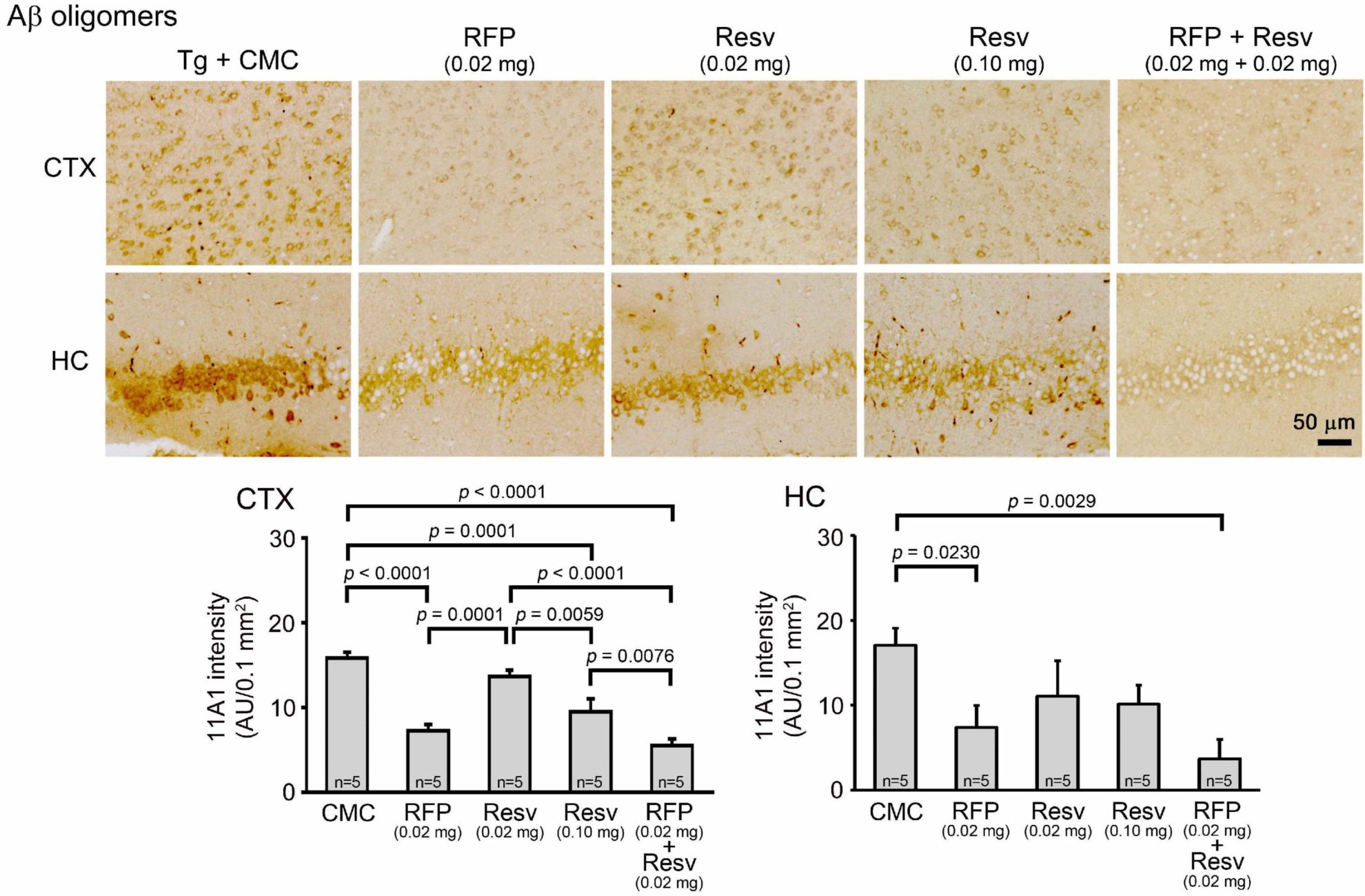 Rifampicin and Resveratrol Nasal Spray Prevents Dementia in Preclinical