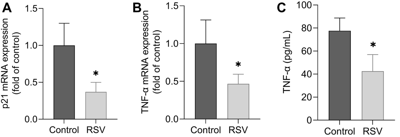 Resveratrol Reduces Brain Cell Inflammation and Senescence, Shows Study