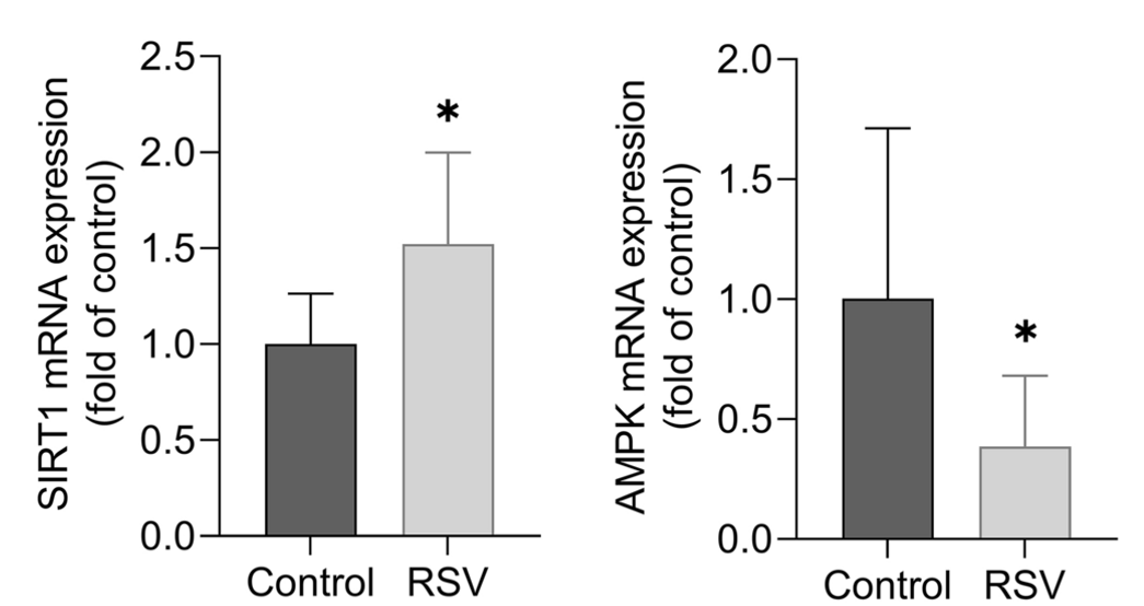 Resveratrol Reduces Brain Cell Inflammation and Senescence, Shows Study