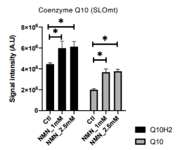 NMN raises levels of coenzyme Q10