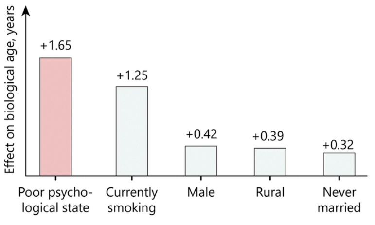 Poor mental health vs smoking, factors of biological age