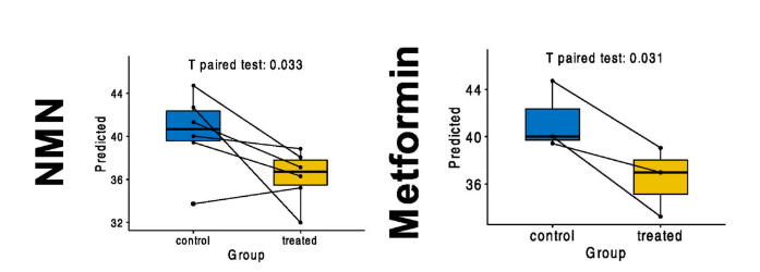 NMN and Metformin reduce predicted age.