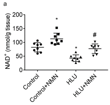 Replenishment of bone NAD+ by NMN in a spaceflight microgravity rat model. In the hindlimb unloading (HLU) microgravity rat model, bone NAD+ levels significantly decline. However, NMN supplementation (HLU+NMN) leads to the replenishment of bone NAD+ levels in this model.