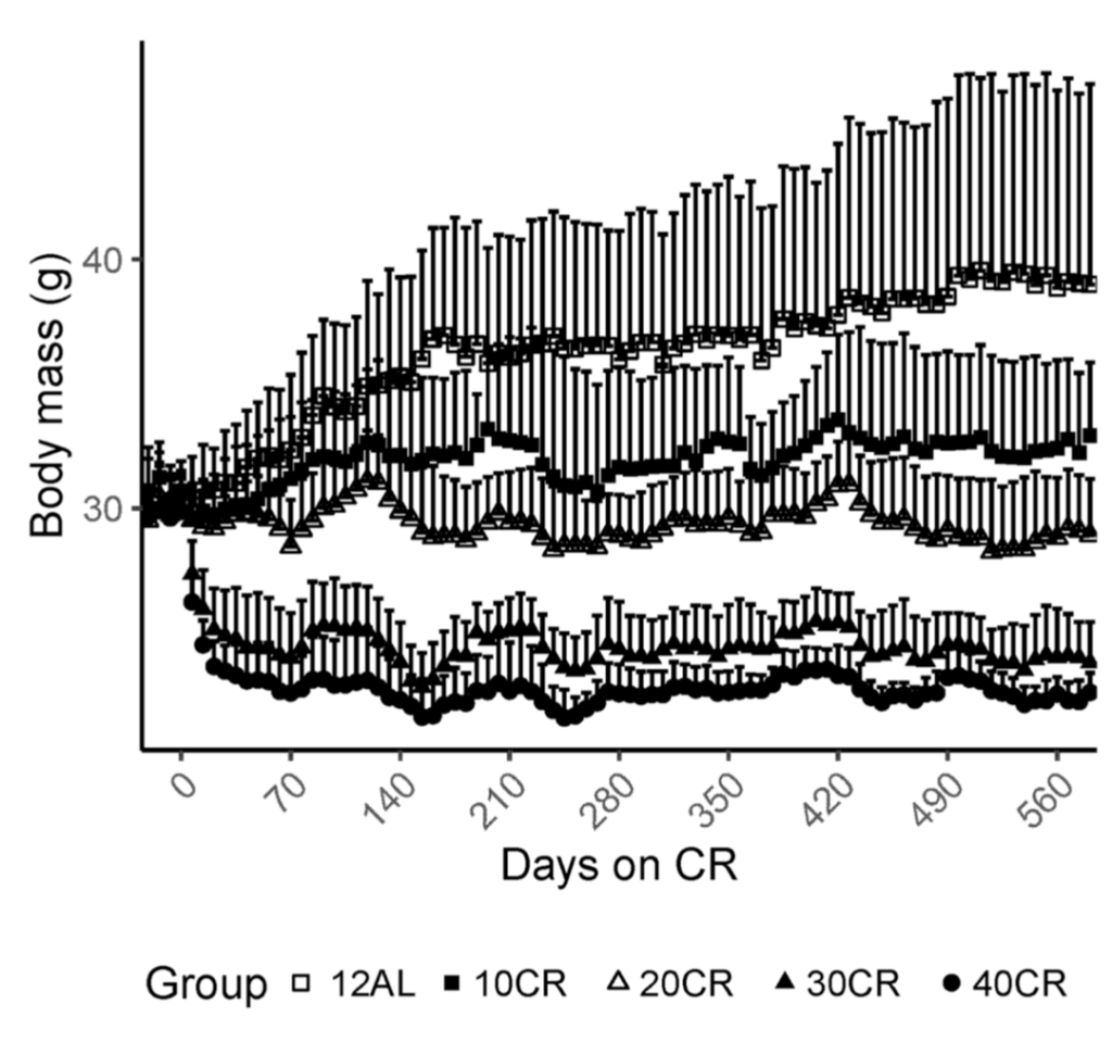 Comparison of Body Mass Stability in Mice Under Caloric Restriction and Free Access to Food