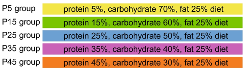 Comparison of Protein Intake Levels in Young and Middle-Aged Mice: Impact on Carbohydrate Proportions. Five groups of mice were assigned different protein intake levels, resulting in varying carbohydrate proportions represented as percentages of total calories. Lowering protein levels corresponded to an increase in carbohydrates in the diet.