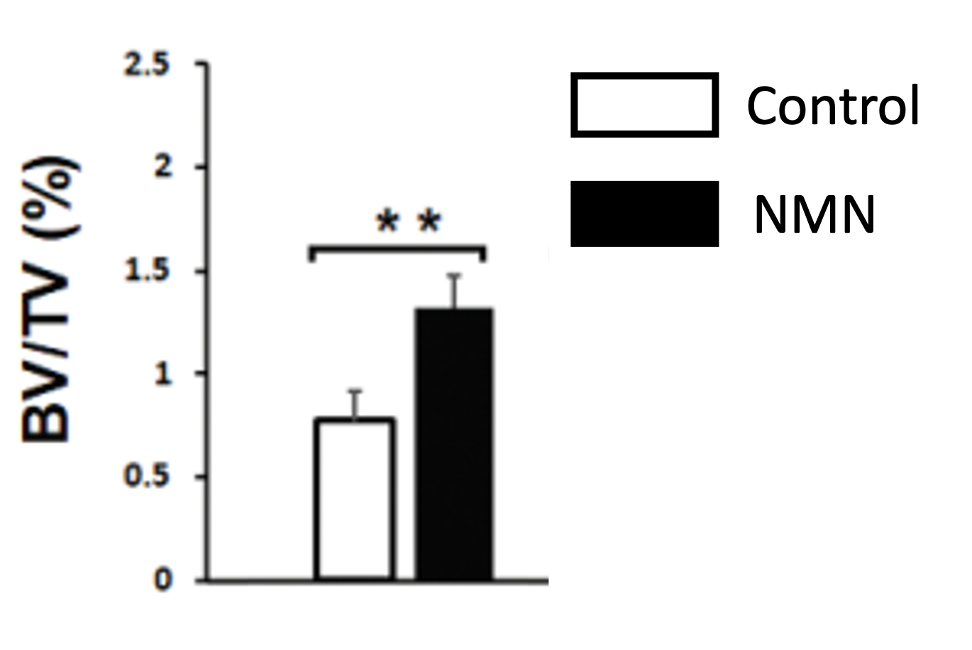 Australian Study Shows NMN Delivers Stronger Bones