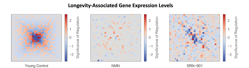 Gene heat maps showing red blocks for increases in genes and blue for decreases in genes. The left and right panel look more alike than the middle one.