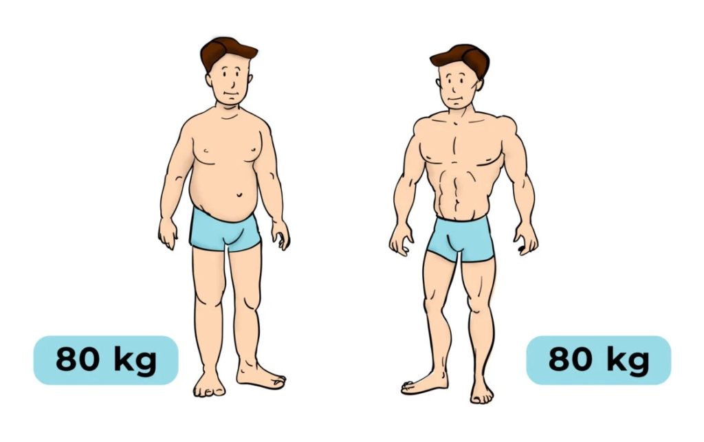 Two men of the same weight but different body composition. One has more fat and less muscle (skinny fat), while the other has more muscle and less fat. 