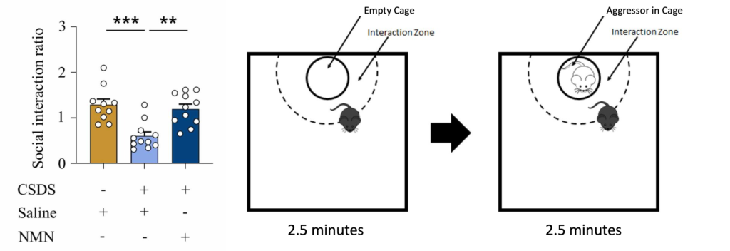 A graph of the data on the left and a diagram of the experimental setup on the right. 