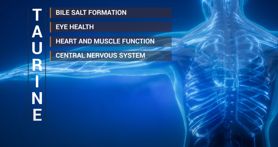 Taurine is required for bile salt formation, eye health, heart and muscle function, and the modulation of inflammation in the central nervous system.