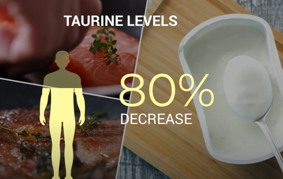 Taurine levels fall by at least 80% in older adults.