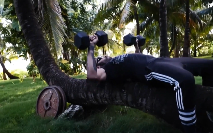 Lenny Kravitz doing dumbbell presses on a palm tree trunk