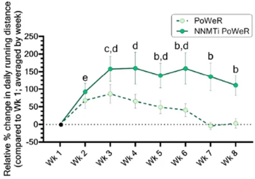 5-amino-1MQ increased daily running distance in a sustained manner.