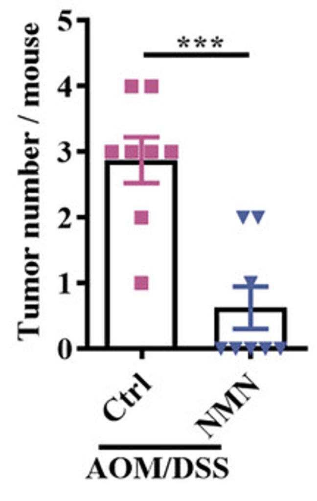 A bar graph. 