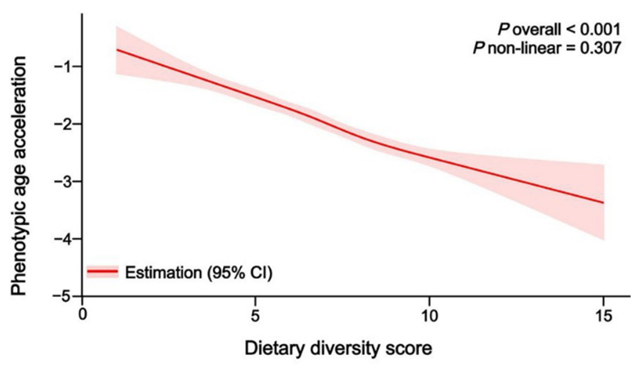 Higher dietary diversity scores were associated with slower aging.