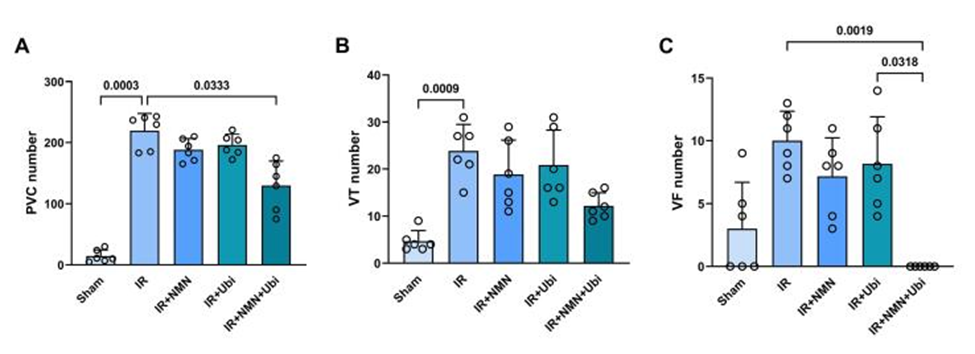 Combination treatment reduced arrhythmias following myocardial ischemia reperfusion injury in aged rats.