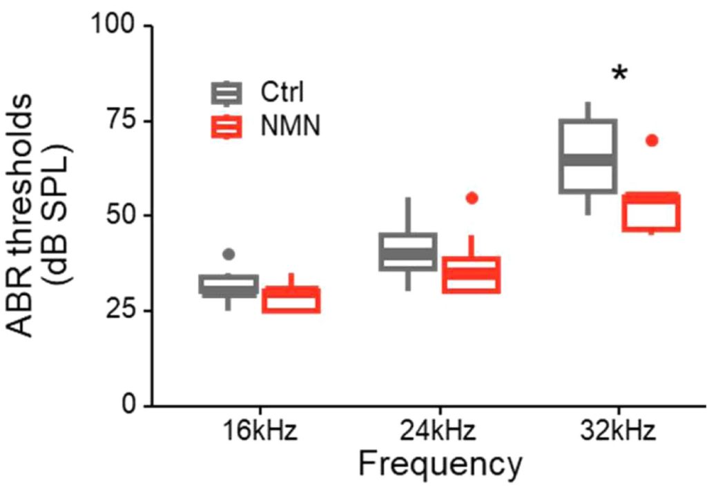 A graph showing lower A.B.R. threshold values in NMN-treated aged mice at 32 kHz. 