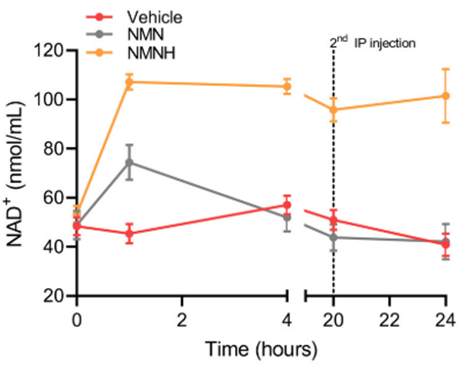 NMNH more effectively increases blood NAD+ than NMN.