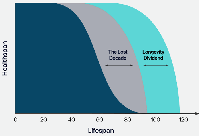 Optispan attempts to recover life over the Los Decade and confer an additional lifespan extension referred to as the Longevity Dividend.