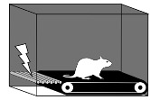 A diagram of a mouse on a treadmill. There is an electrical grid at the back end of the treadmill. 
