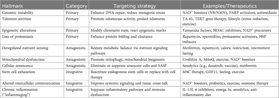 Various strategies target primary, antagonistic, and integrative hallmarks of aging.
