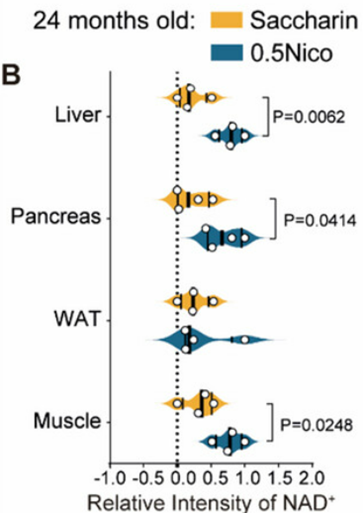 Long-term nicotine consumption increases NAD+ in multiple tissues.
