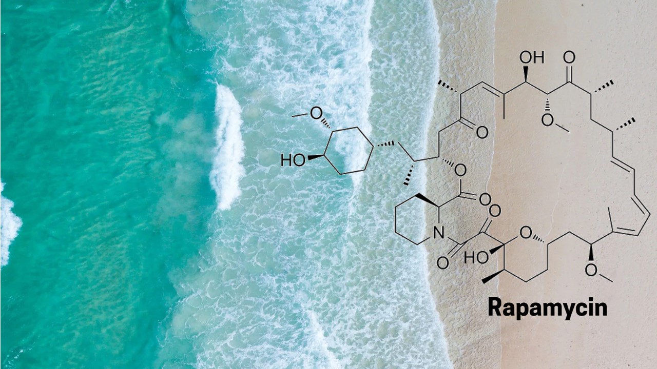 Rapamycin molecule on ocean background.