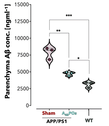 Within two hours of injection with polymersomes, brain amyloid-beta levels were nearly cut in half in mice modeling Alzheimer's disease.
