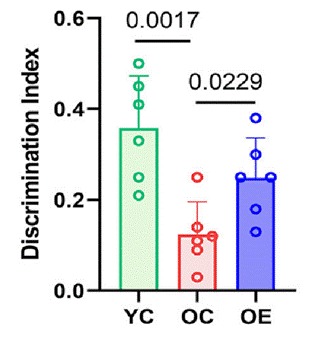Old mice that underwent an aerobic exercise regimen showed memory improvements.