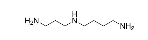 The molecular structure of spermidine