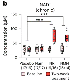 NR and NMN increased blood NAD+ levels over 14 days of supplementation, while Nam did not.