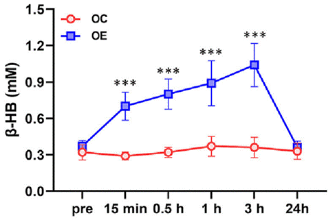Exercise more than doubles circulating levels of β-hydroxybutyrate.