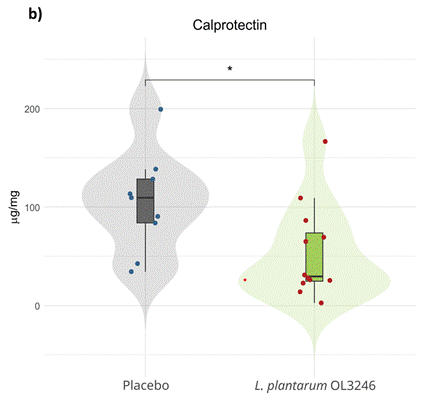 Older adults supplemented with the probiotic exhibited lower fecal calprotectin levels compared to participants who received a placebo.