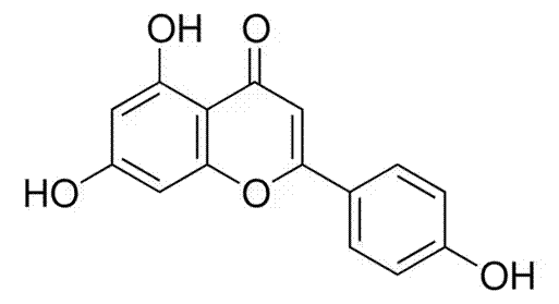 The molecular structure of apigenin