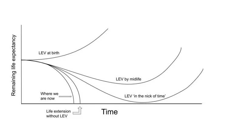 Life trajectories based on when humans reach longevity escape velocity