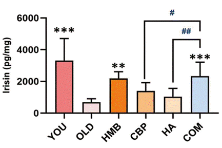 The combination of supplements and HMB most significantly increased circulating irisin in aged mice.