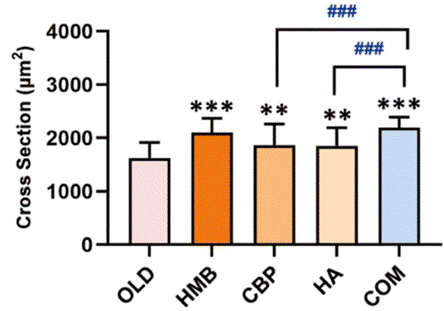 The combination of supplements and the HMB supplementation most significantly preserved muscle.