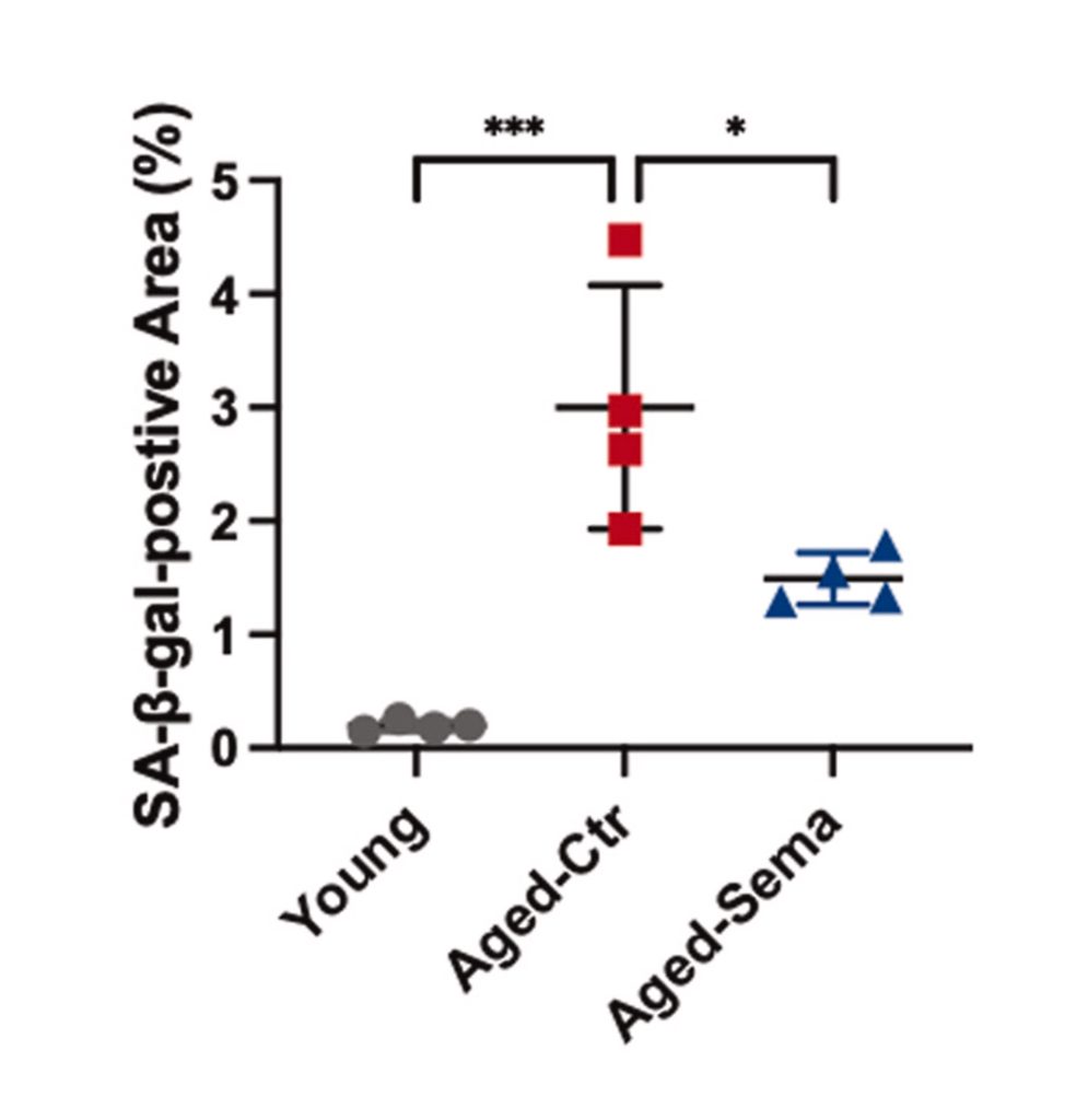 A schematic chart showing aging-related measurements with red square data markers along a vertical axis labeled between 0 and 5 on the left.