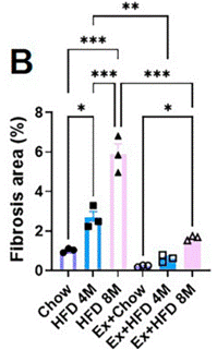 A high-fat diet significantly induced liver fibrosis, yet exercise drastically alleviated this effect.