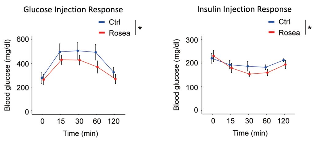 Two line graphs compare injection responses: left plot for glucose with Ctrl (blue) and Rosea (red); right plot for insulin with Ctrl (blue) and Rosea (red), over 0–120 minutes with error bars.