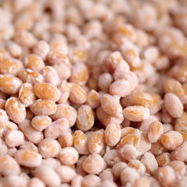 Nattokinase comes from soybeans, like those pictured