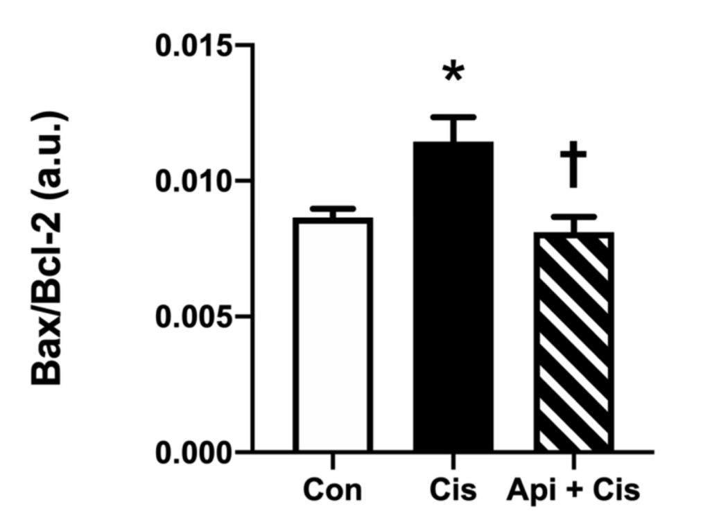Bar chart comparing three conditions labeled Con, Cis, and Api+ Cis; Api+ Cis bar is tallest; y-axis ranges from 0.000 to 0.015 with tick marks at 0.005, 0.010, 0.015.