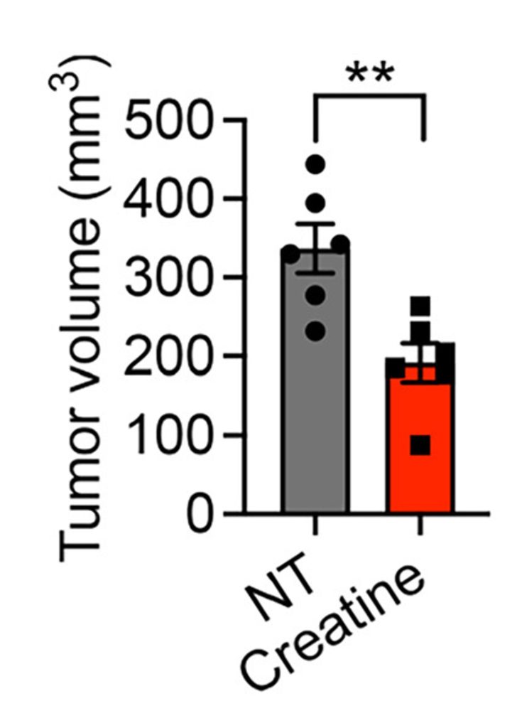Bar chart comparing two values: a tall gray bar near 500 and a shorter red bar around 60, with a vertical axis labeled thousands (0–500).