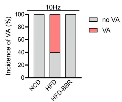 Berberine eliminated susceptibility to electrical stimulation-induced cardiac arrhythmias in obese rats.