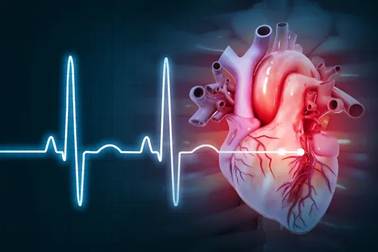 An image of waves signifying a heart rate, as measured with an electrocardiogram, next to a human heart