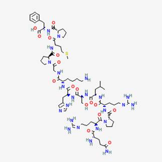 Apelin's molecular structure